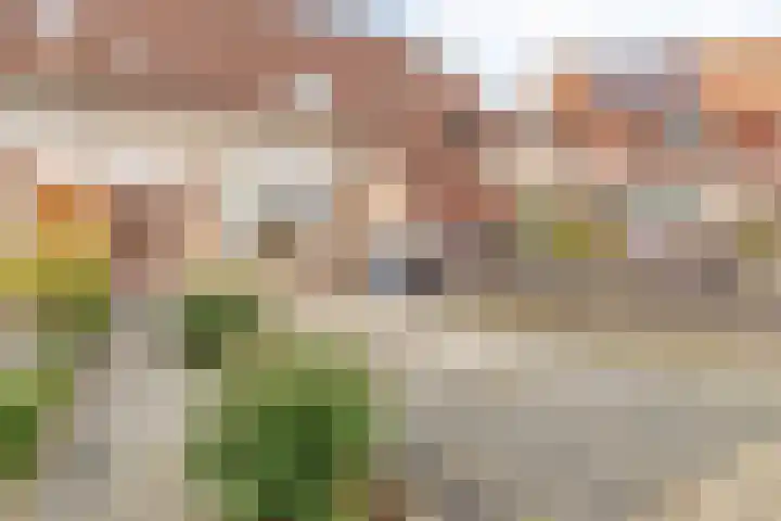 Patrijshoek 26 Spijkenisse thumbnail 31