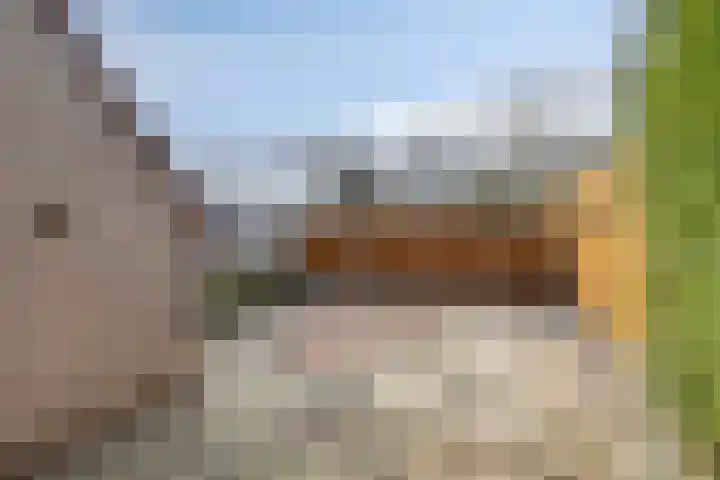 Patrijshoek 26 Spijkenisse thumbnail 32