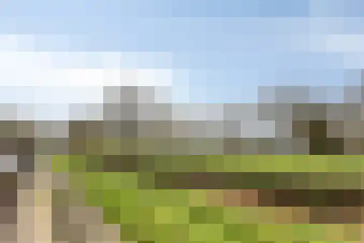Patrijshoek 26 Spijkenisse thumbnail 33