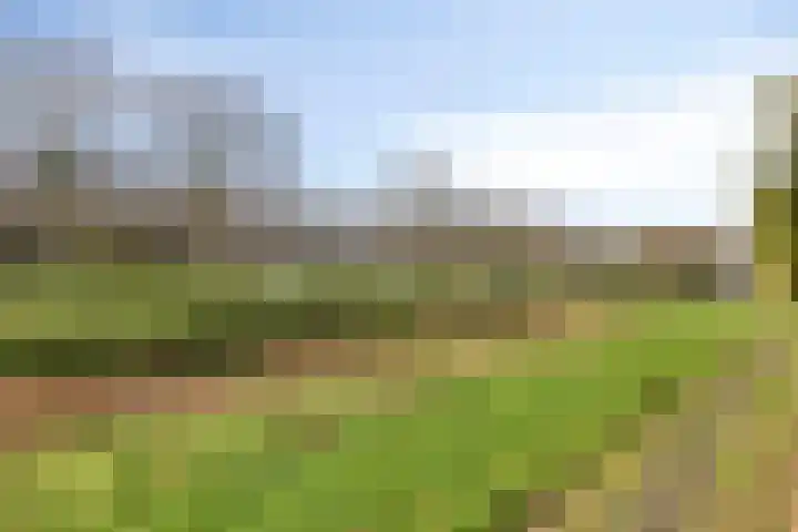 Patrijshoek 26 Spijkenisse thumbnail 34
