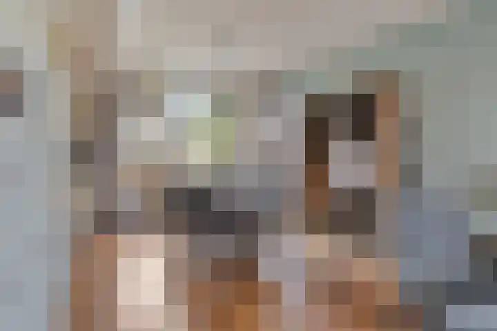 Patrijshoek 26 Spijkenisse thumbnail 8