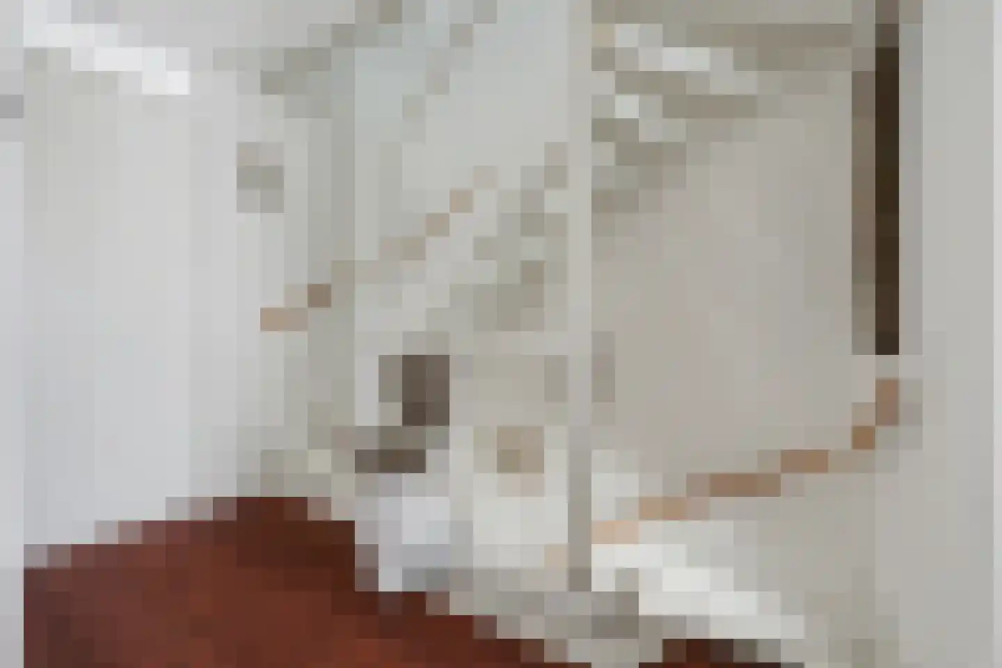 Patrijshof 13 Strijen thumbnail 17