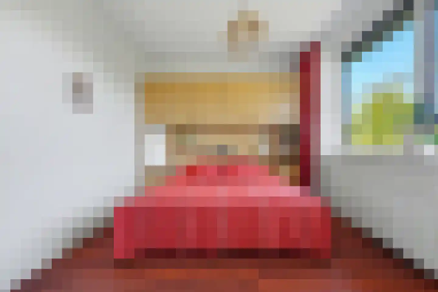 Patrijshof 13 Strijen thumbnail 18