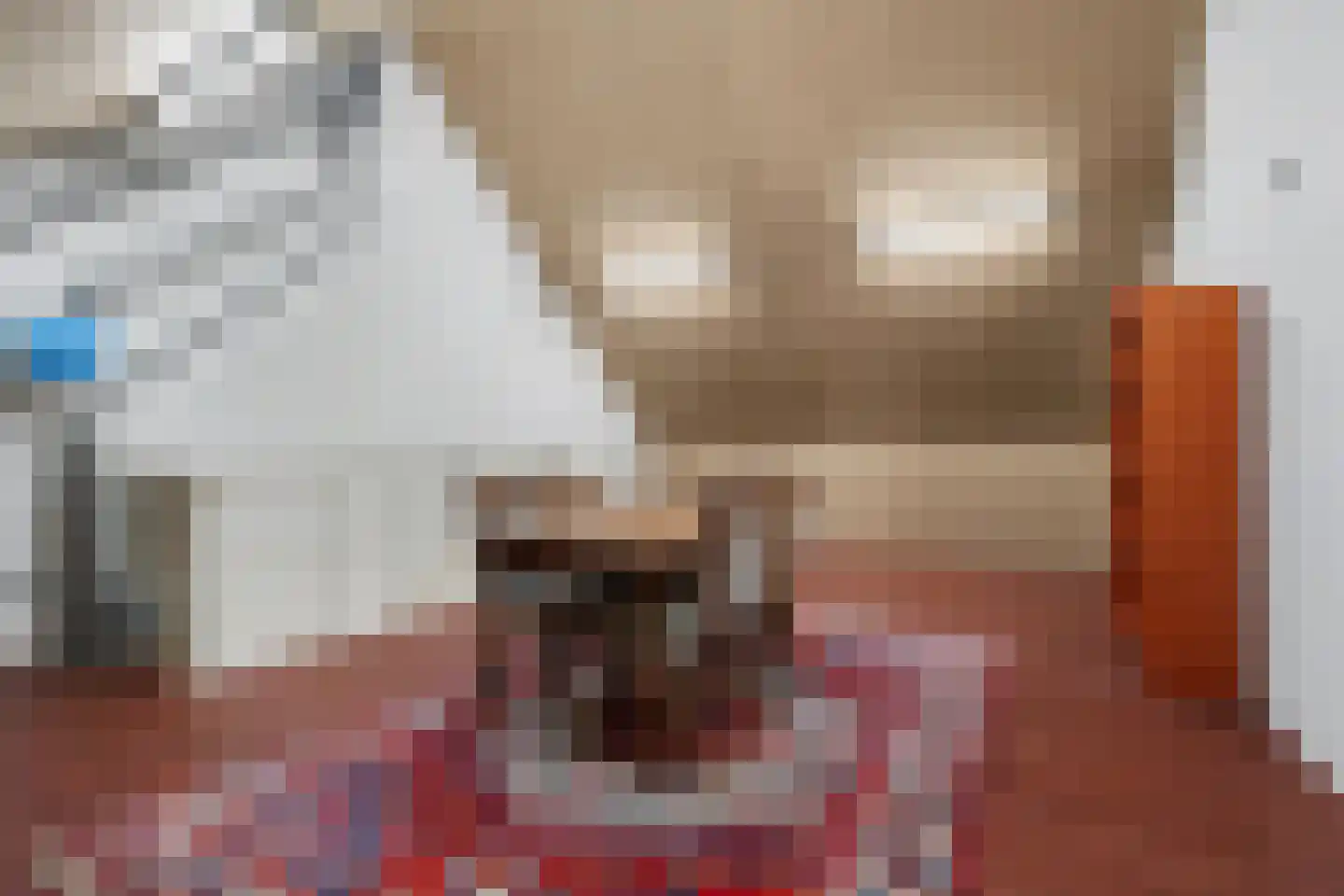 Patrijshof 13 Strijen thumbnail 25