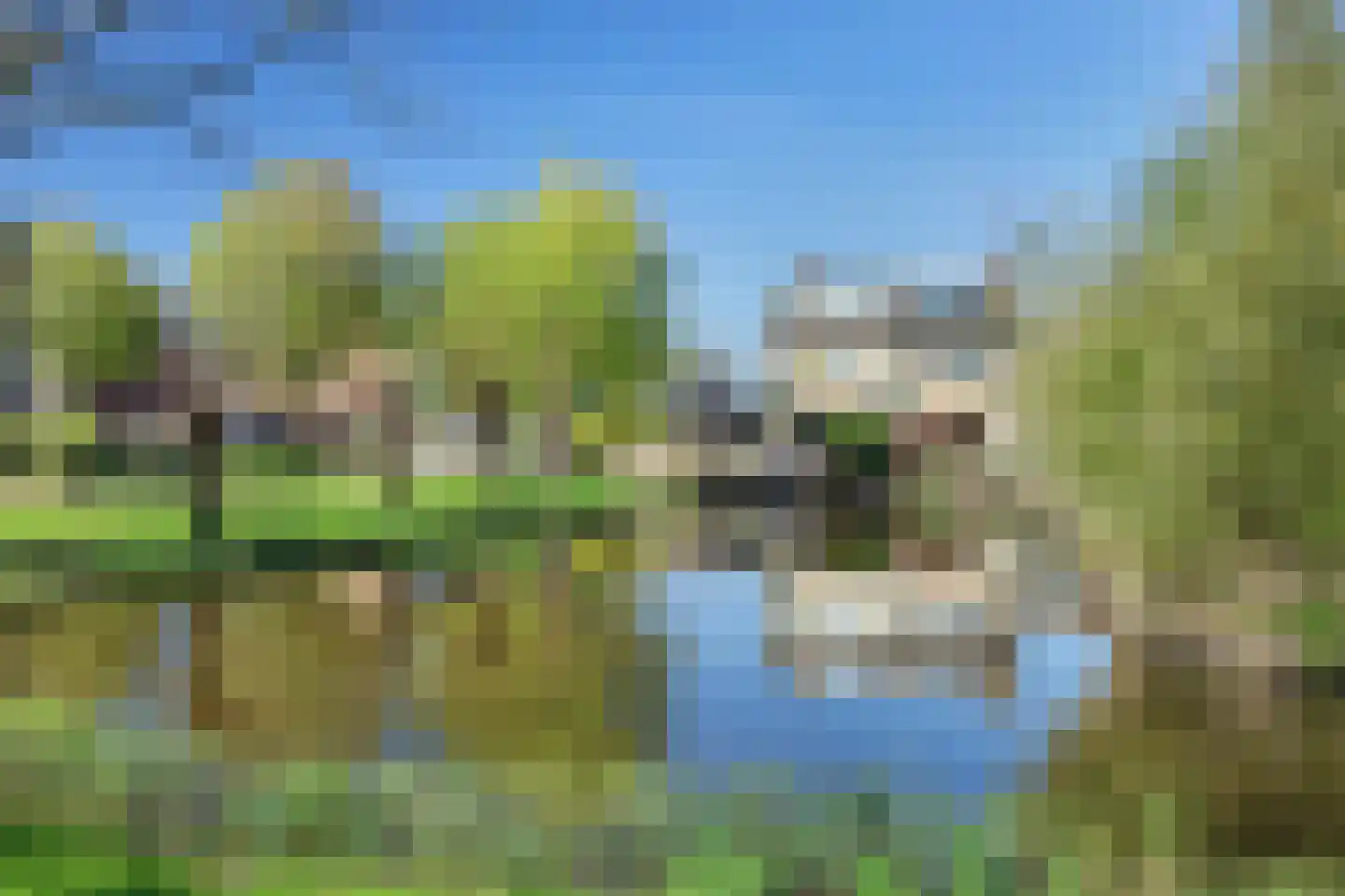 Patrijshof 13 Strijen thumbnail 34