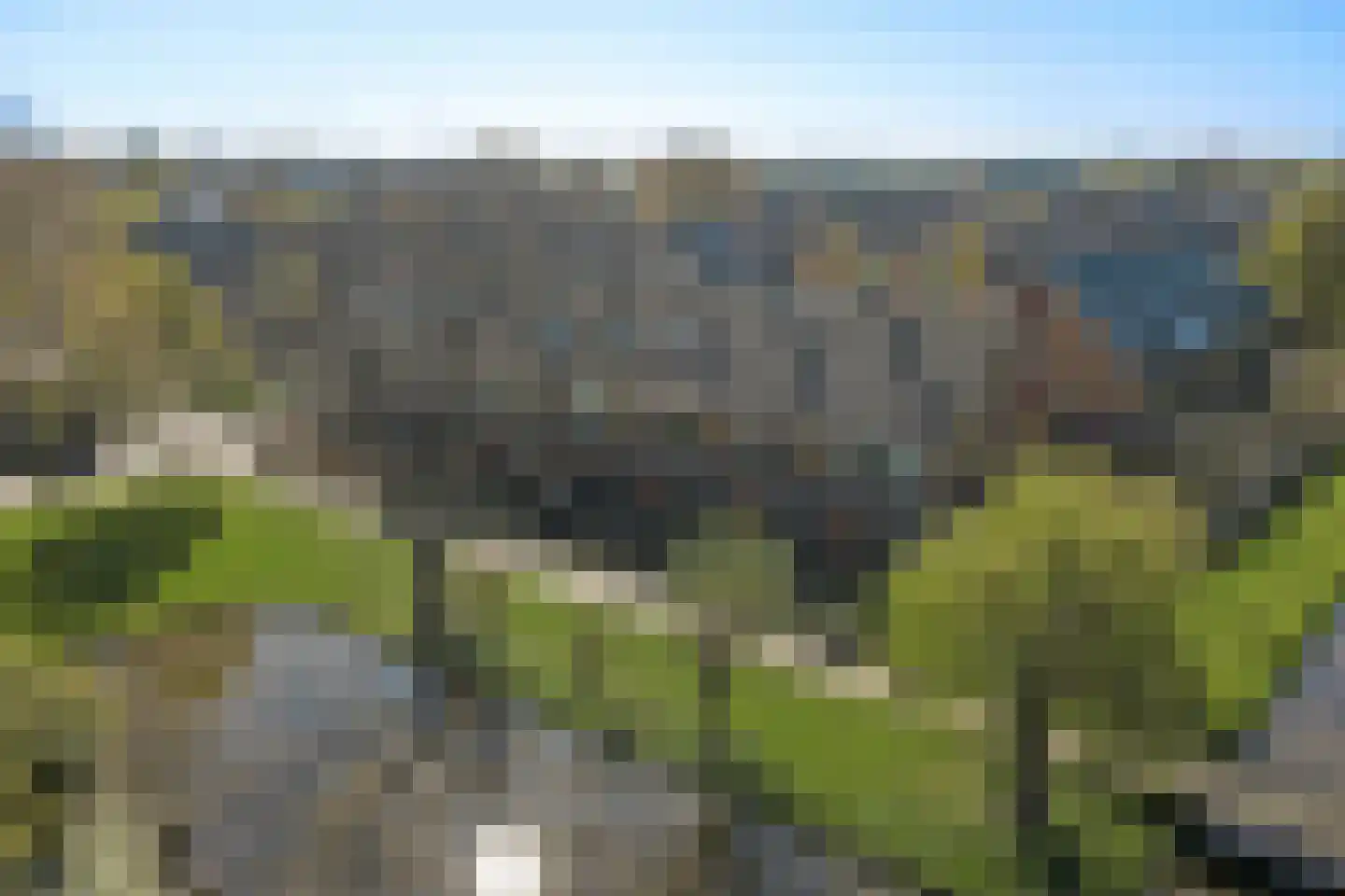 Patrijshof 13 Strijen thumbnail 36