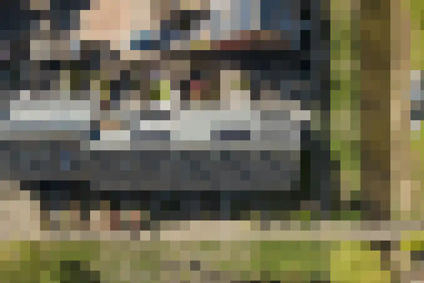 Patrijshof 13 Strijen thumbnail 37
