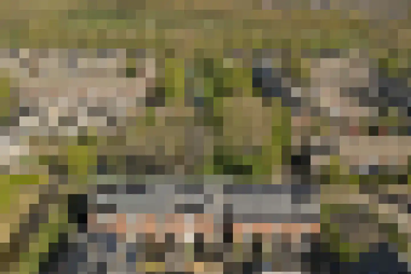 Patrijshof 13 Strijen thumbnail 38