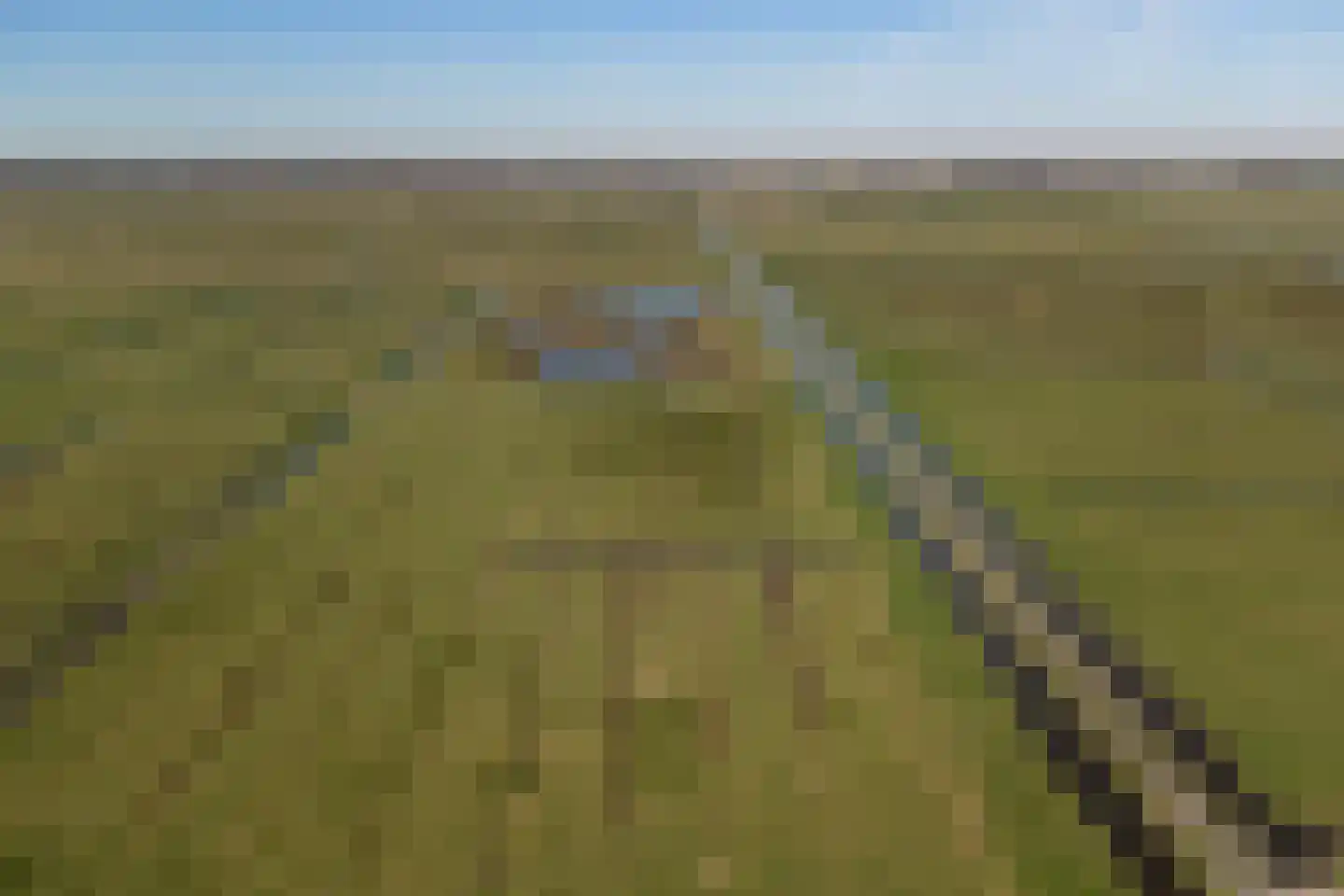 Patrijshof 13 Strijen thumbnail 39
