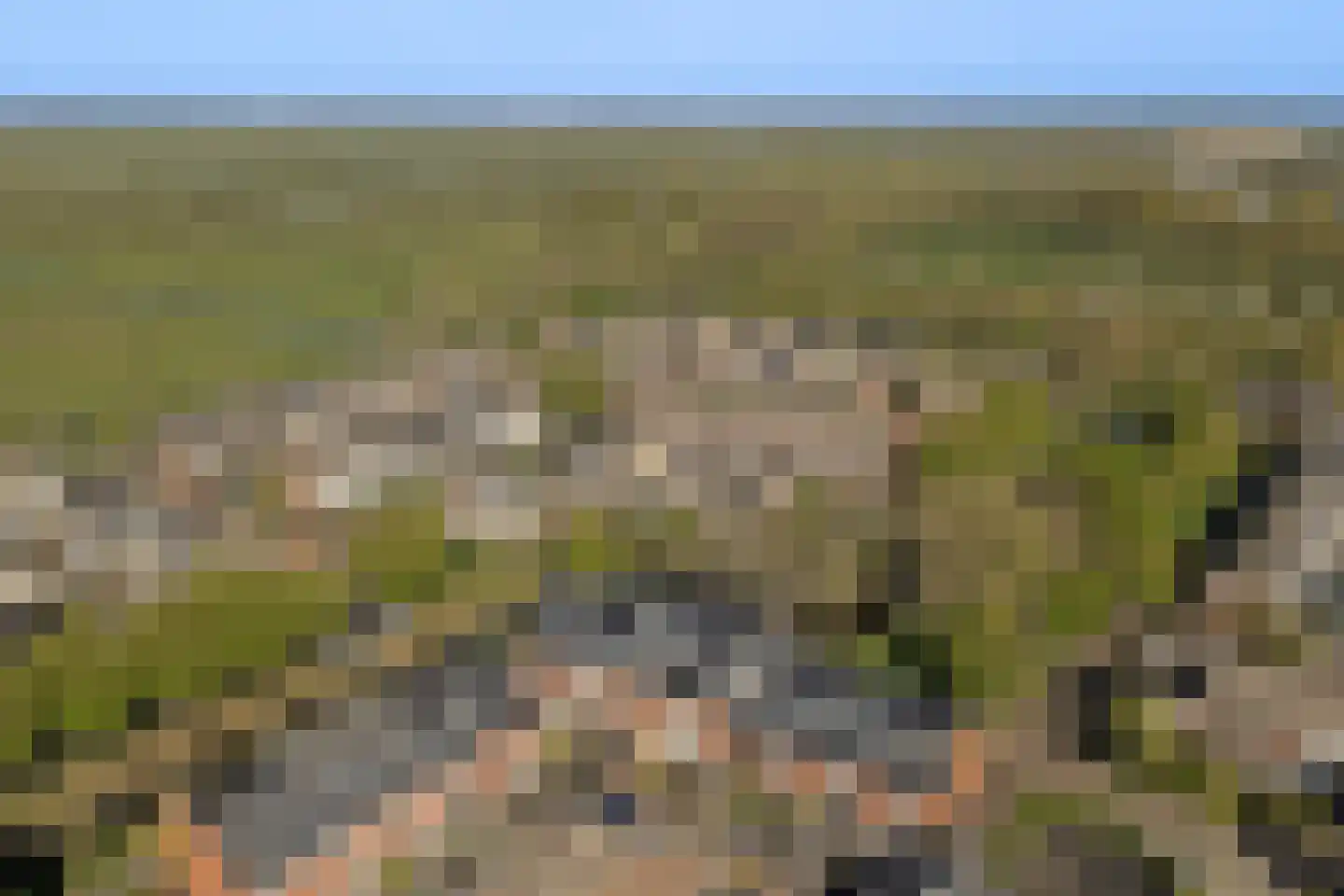 Patrijshof 13 Strijen thumbnail 4