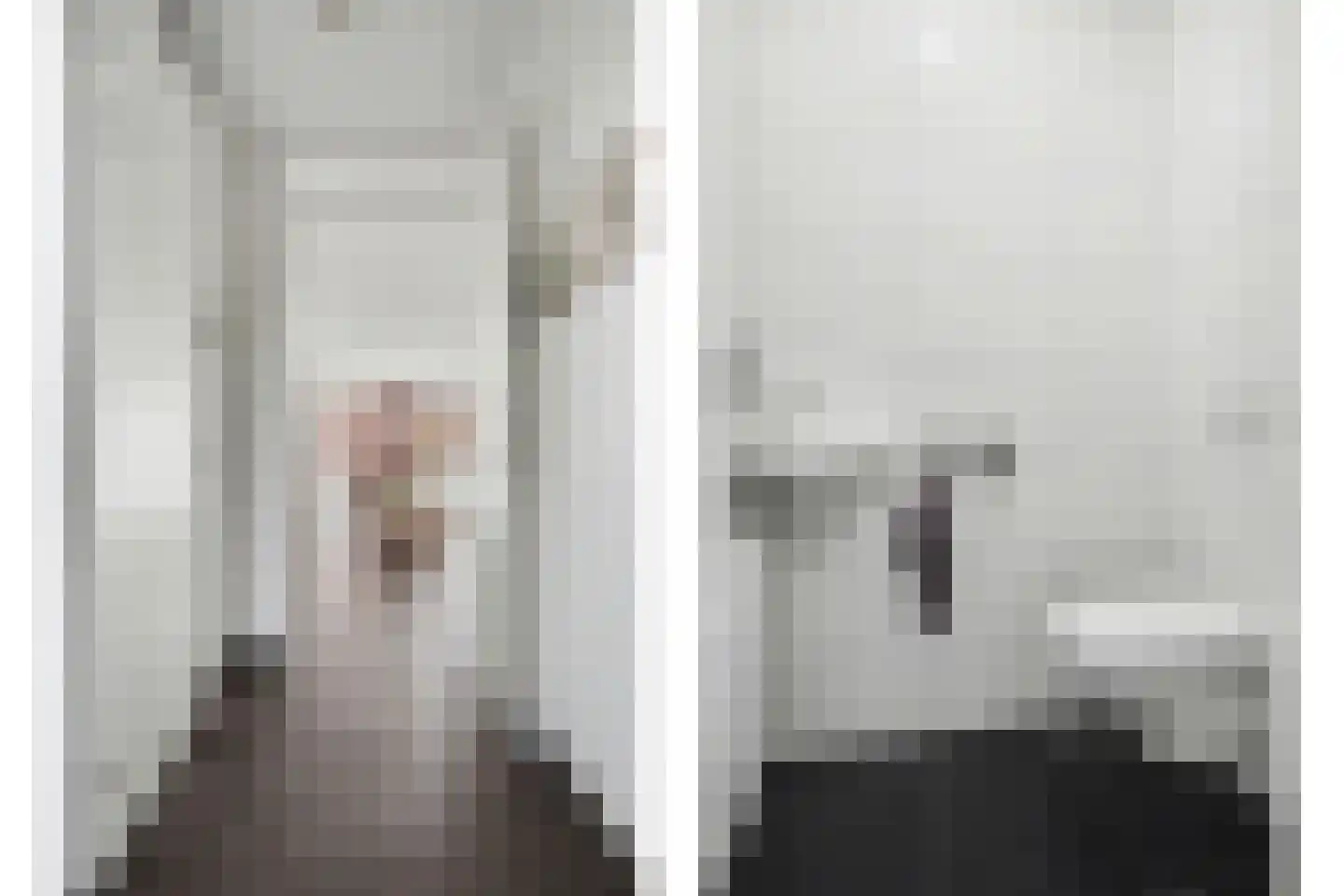 Patrijshof 13 Strijen thumbnail 8