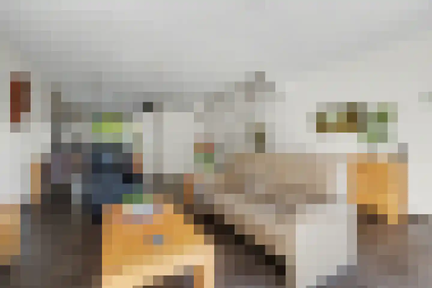Patrijshof 13 Strijen thumbnail 9