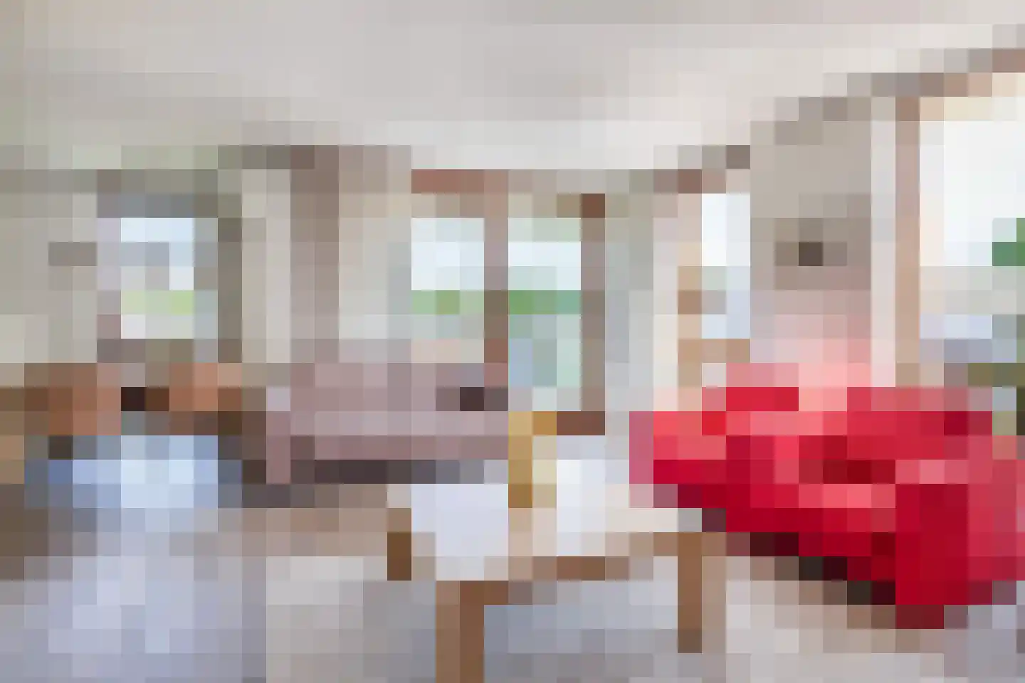 Patrijshof 24 Capelle aan den IJssel thumbnail 14