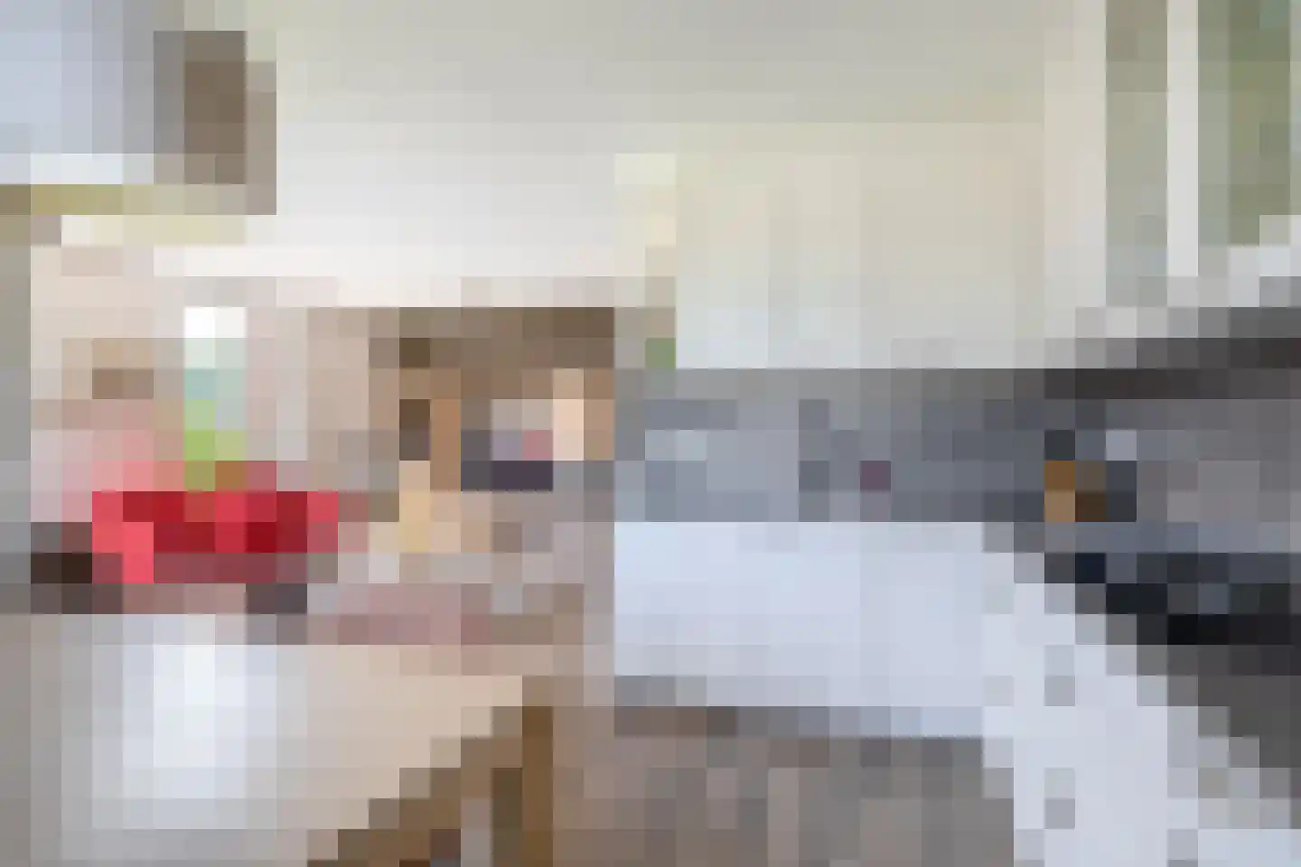 Patrijshof 24 Capelle aan den IJssel thumbnail 15