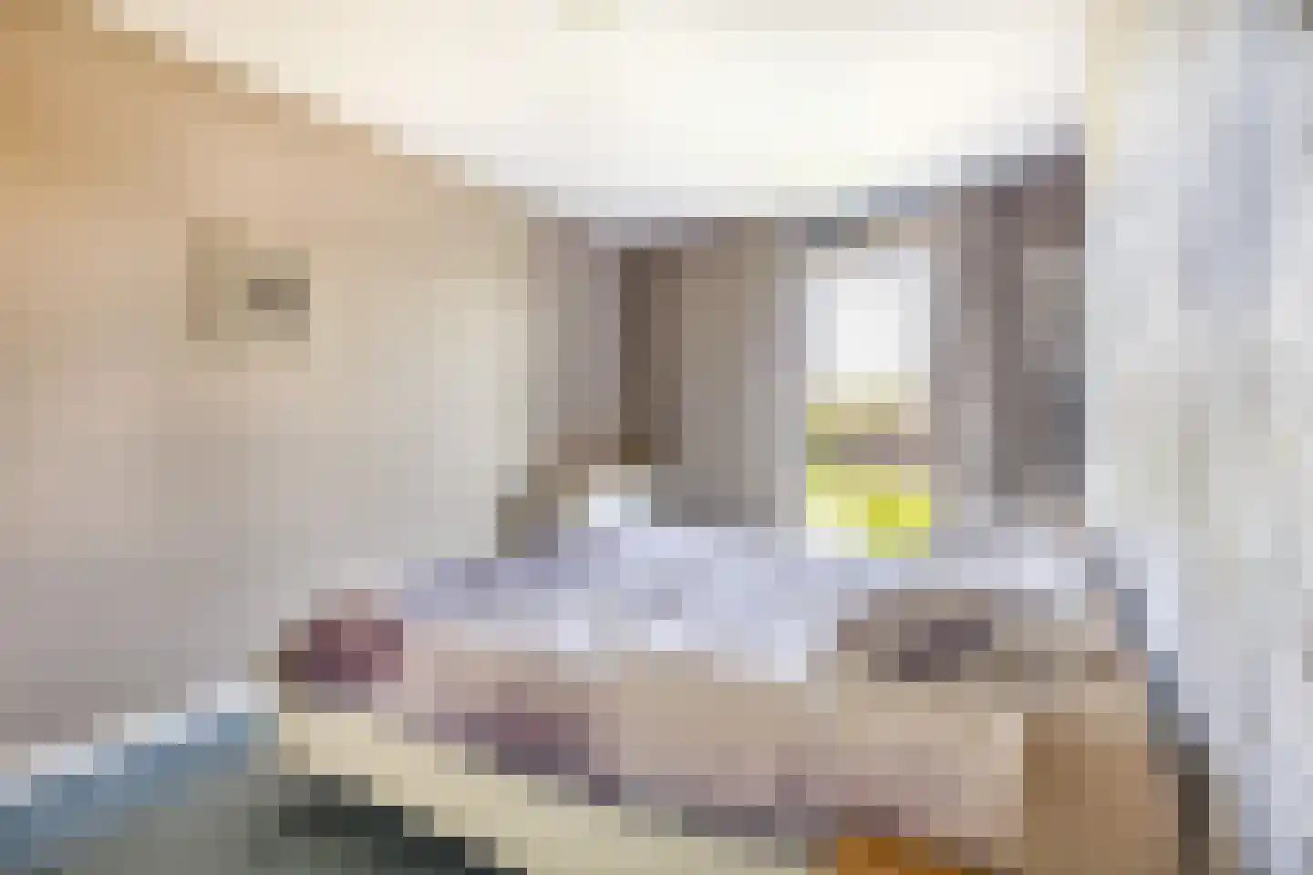 Patrijshof 24 Capelle aan den IJssel thumbnail 22