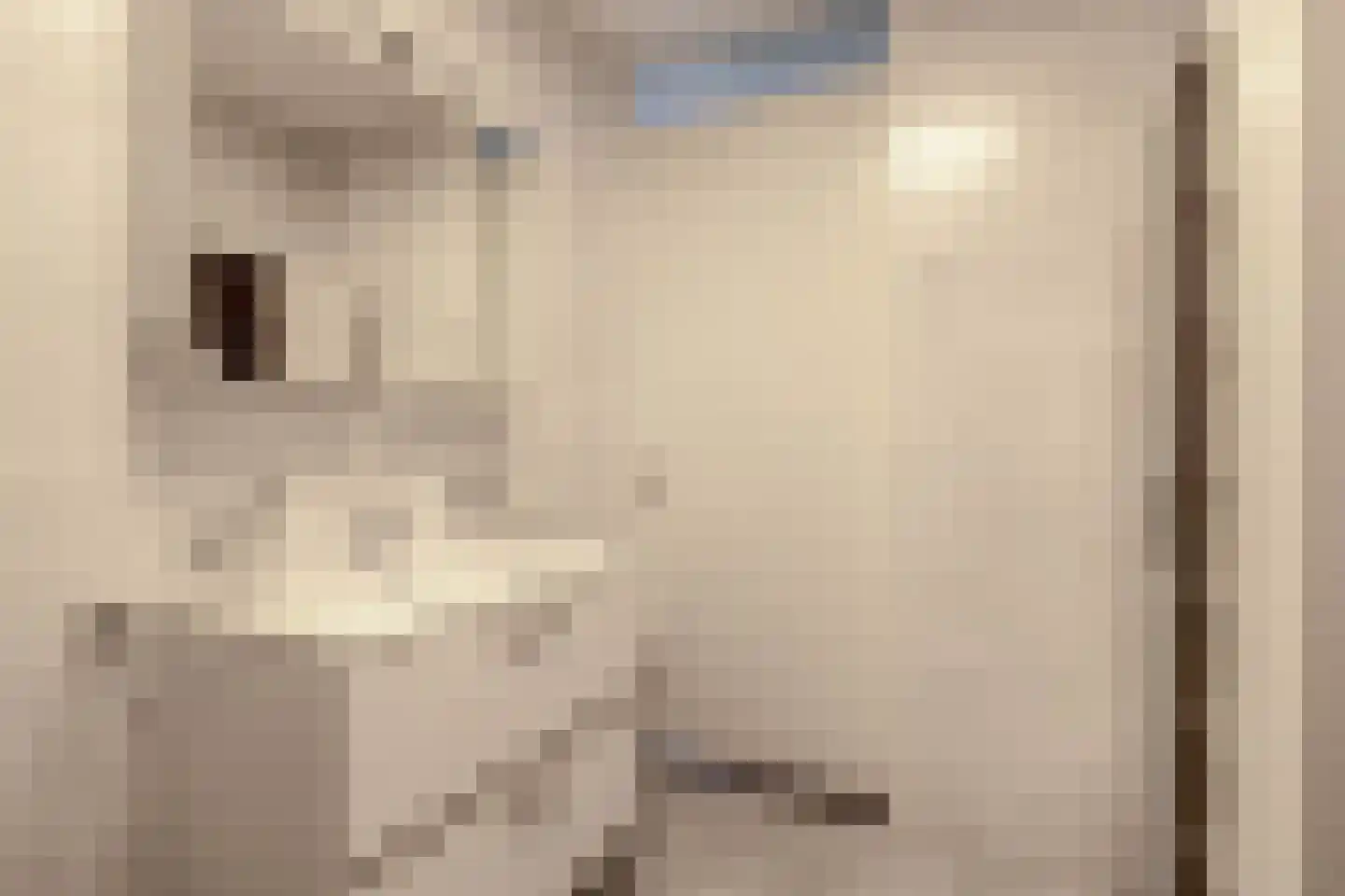 Patrijshof 24 Capelle aan den IJssel thumbnail 26