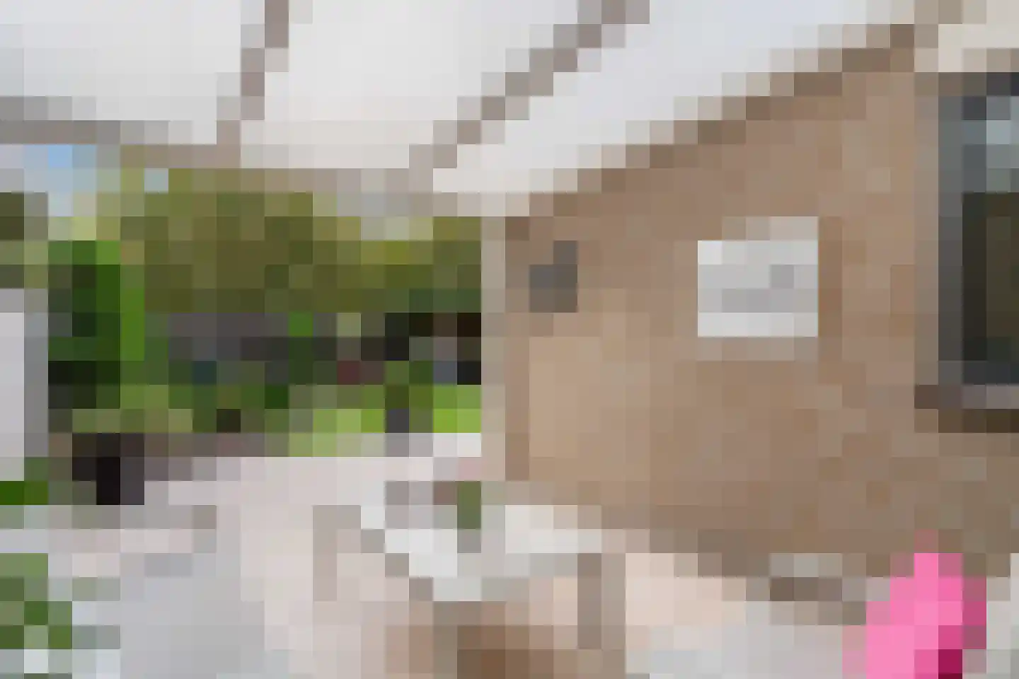 Patrijshof 6 Weert thumbnail 35