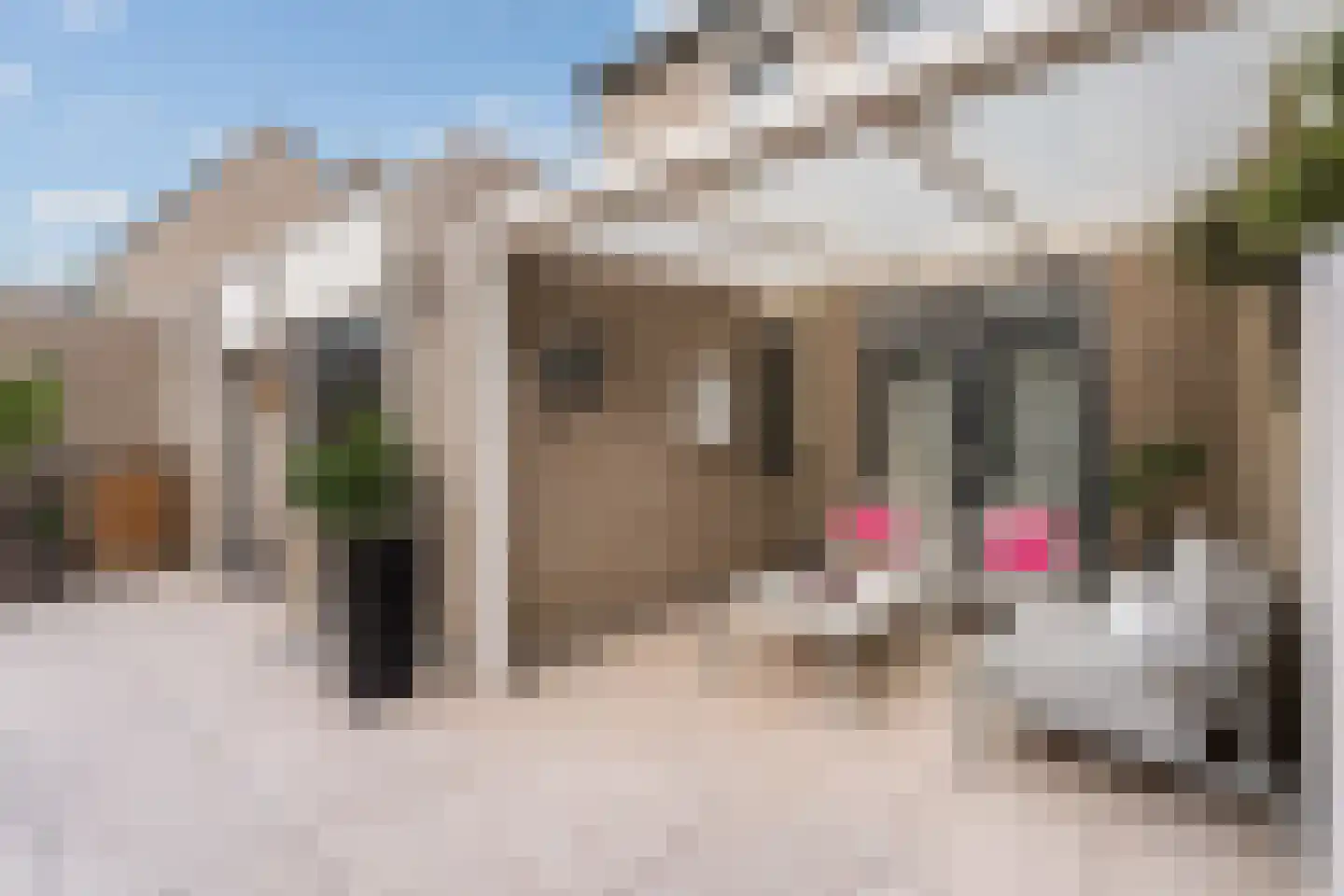 Patrijshof 6 Weert thumbnail 36