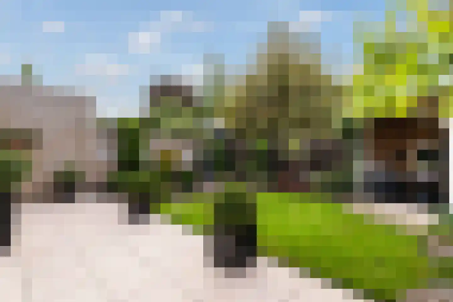 Patrijshof 6 Weert thumbnail 37