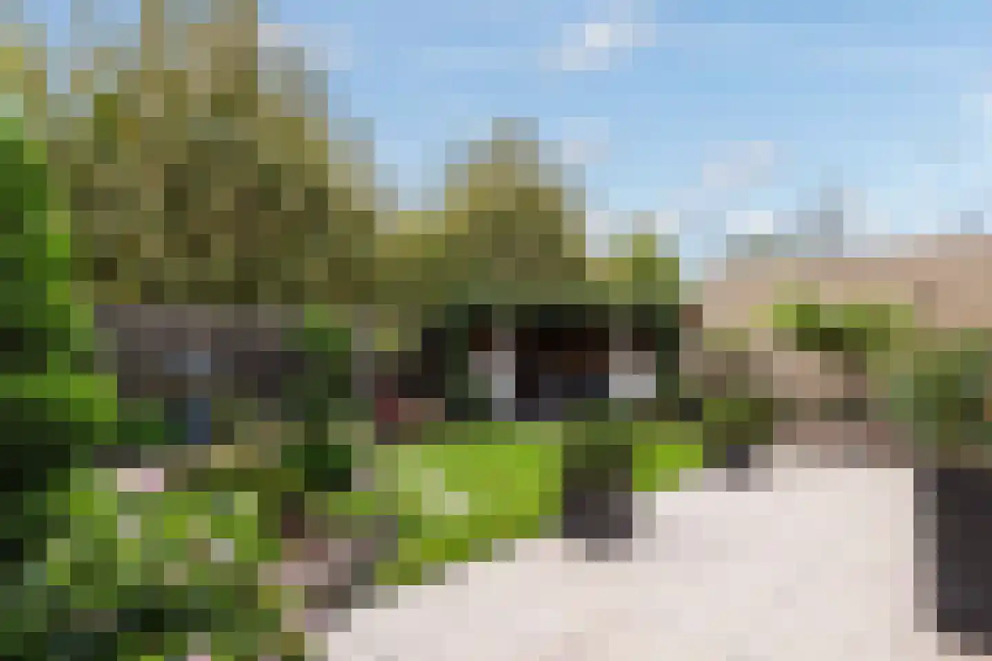 Patrijshof 6 Weert thumbnail 38