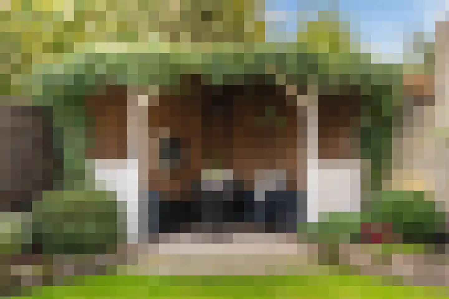 Patrijshof 6 Weert thumbnail 39