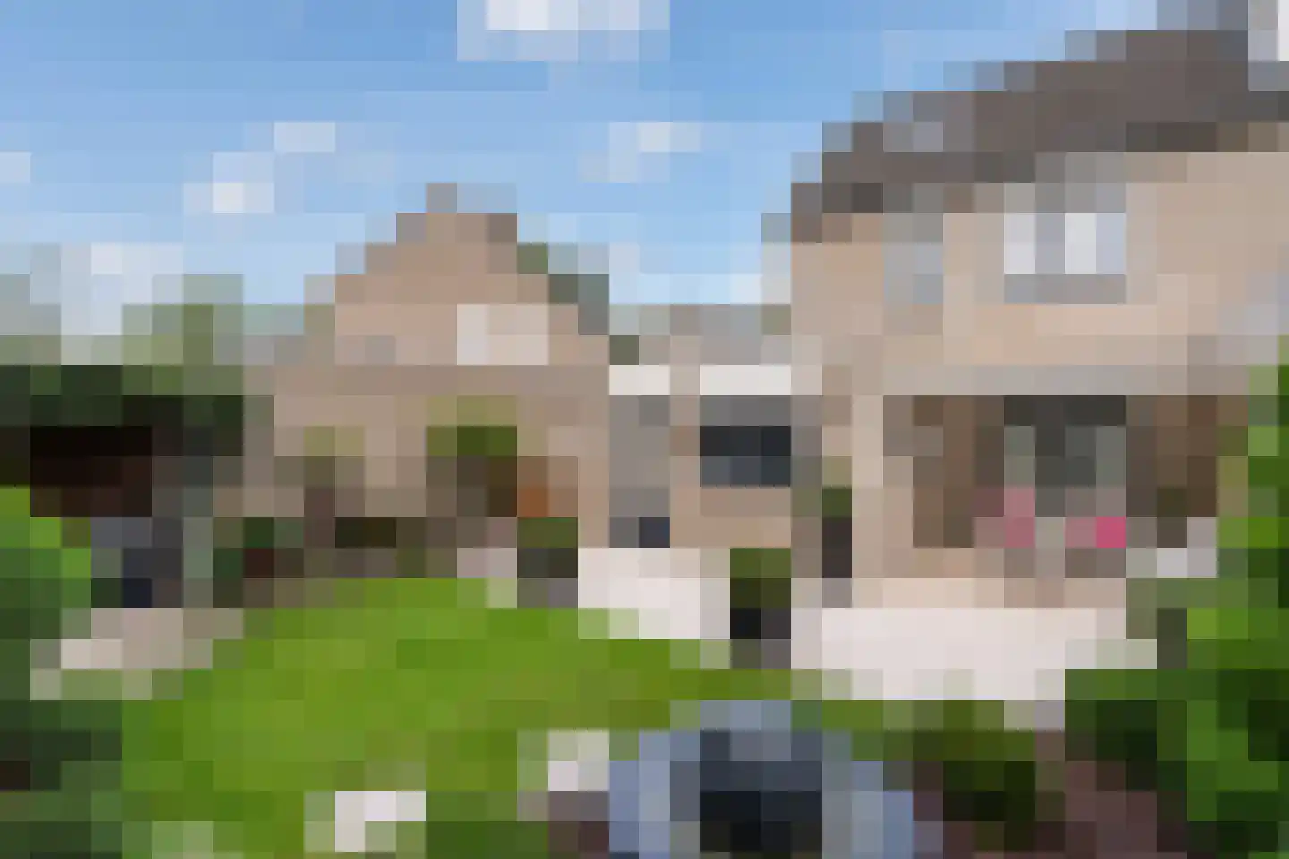 Patrijshof 6 Weert thumbnail 6