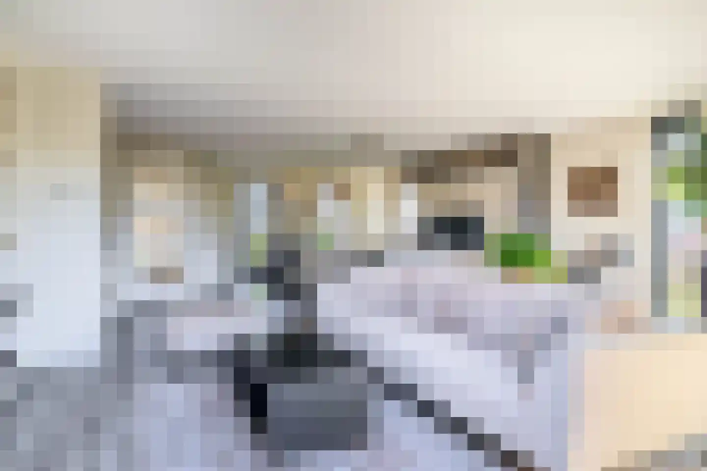 Patrijshof 8 Capelle aan den IJssel thumbnail 10