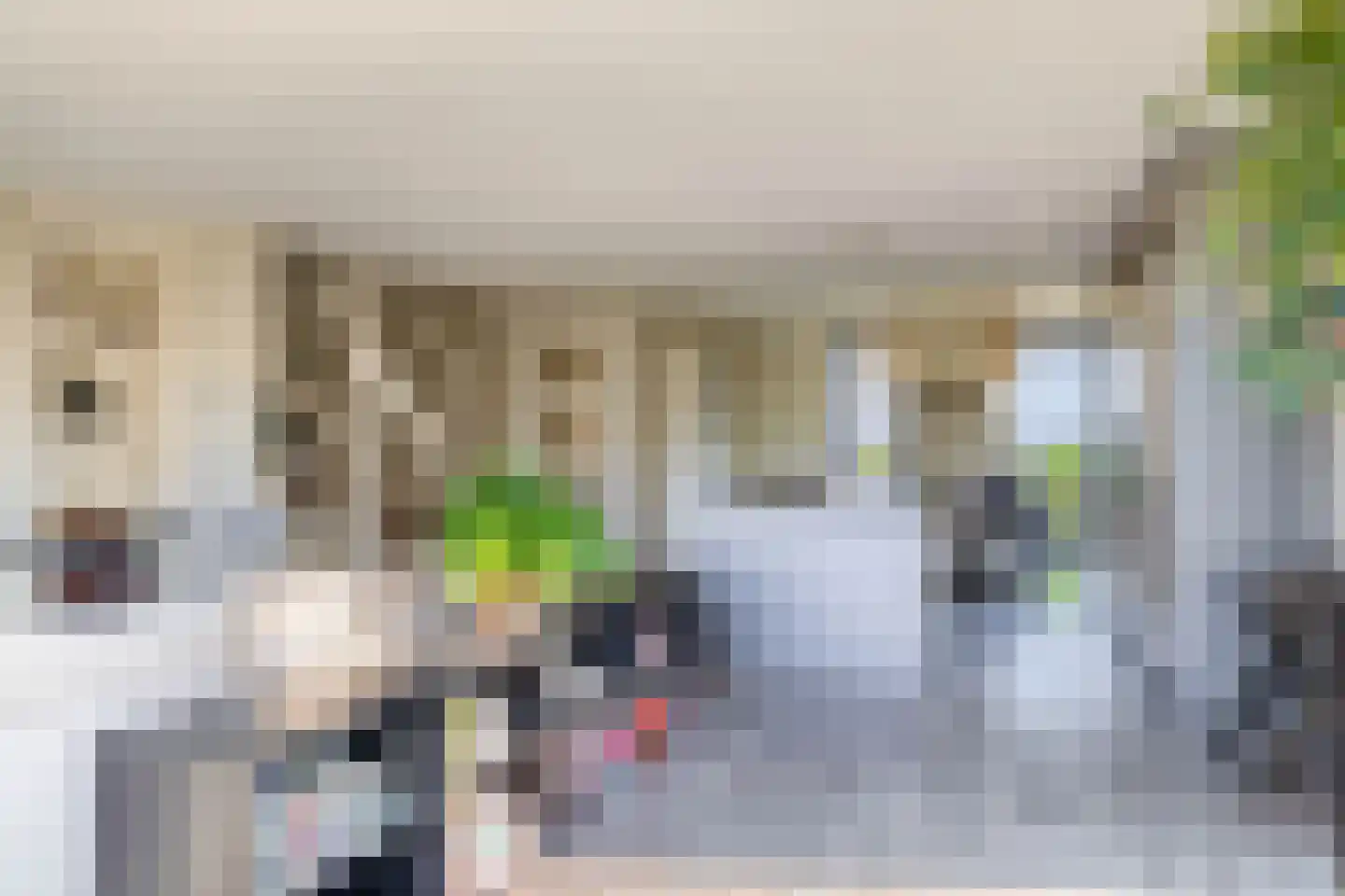 Patrijshof 8 Capelle aan den IJssel thumbnail 11