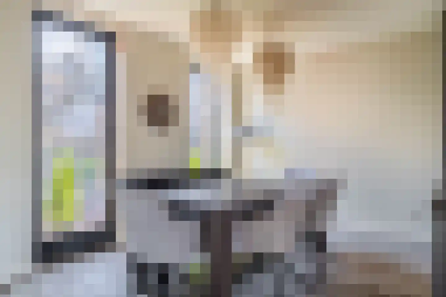 Patrijshof 8 Capelle aan den IJssel thumbnail 15