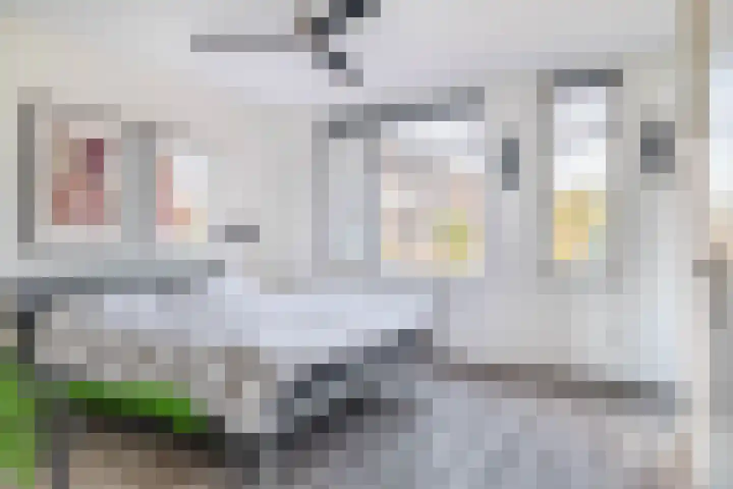 Patrijshof 8 Capelle aan den IJssel thumbnail 17
