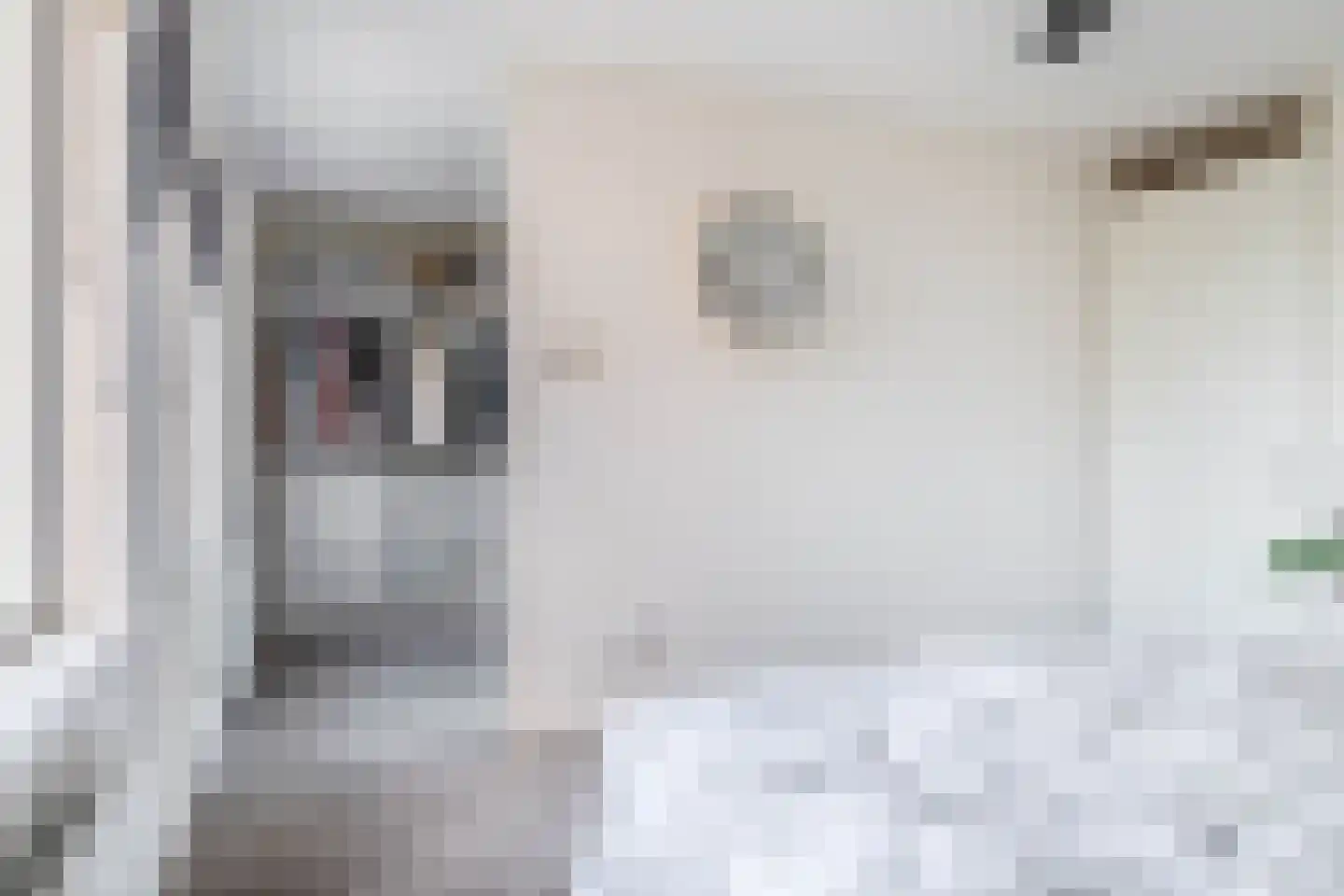 Patrijshof 8 Capelle aan den IJssel thumbnail 18