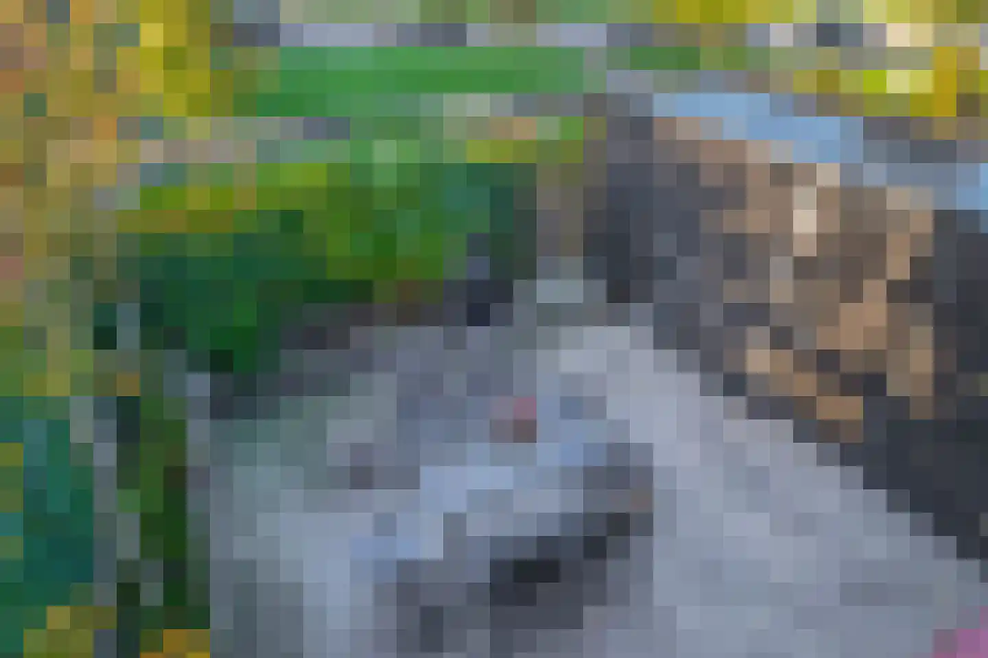 Patrijshof 8 Capelle aan den IJssel thumbnail 20