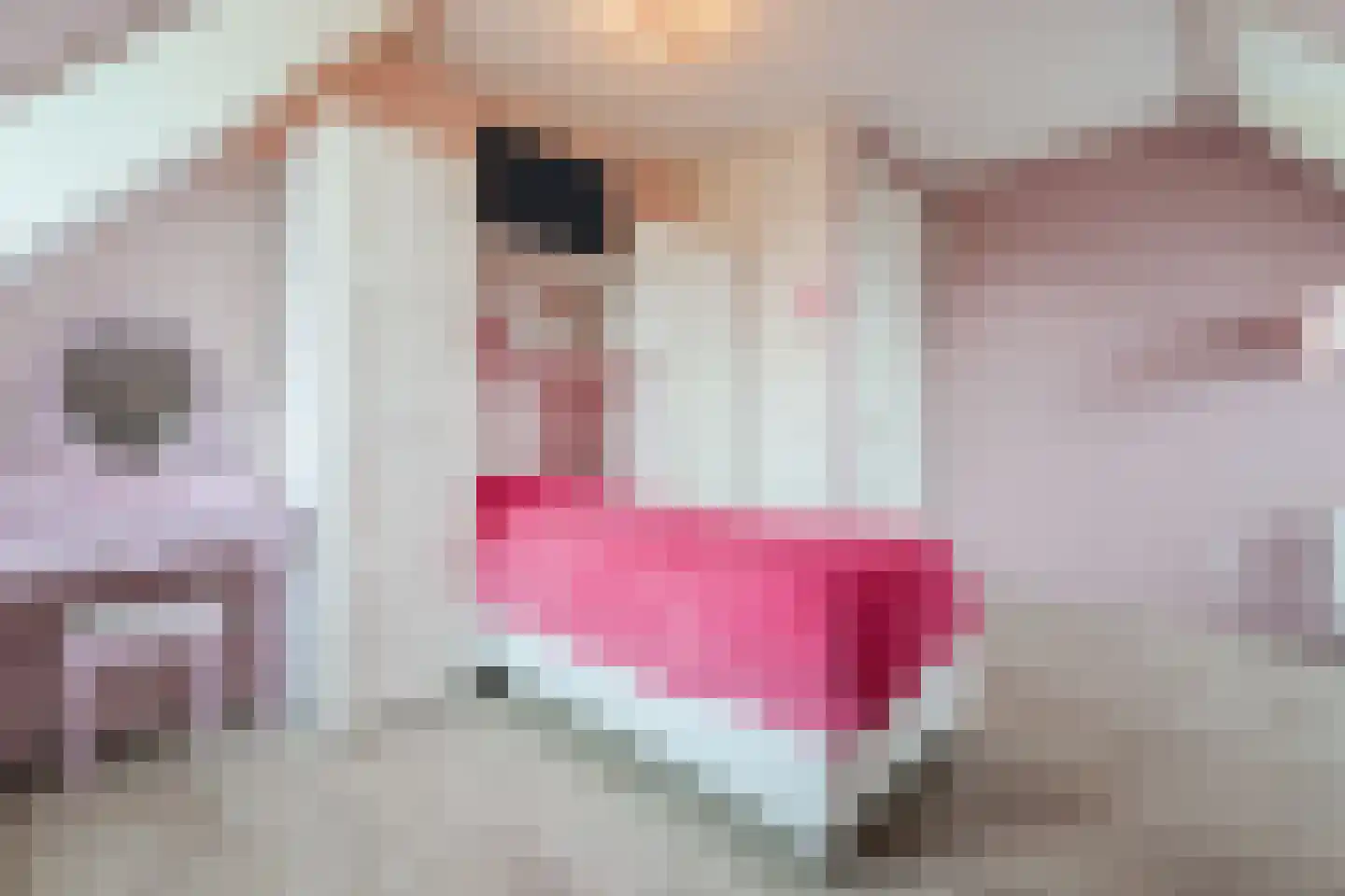 Patrijshof 8 Schoonhoven thumbnail 24