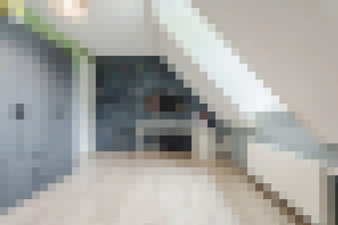 Patrijshof 8 Schoonhoven thumbnail 28