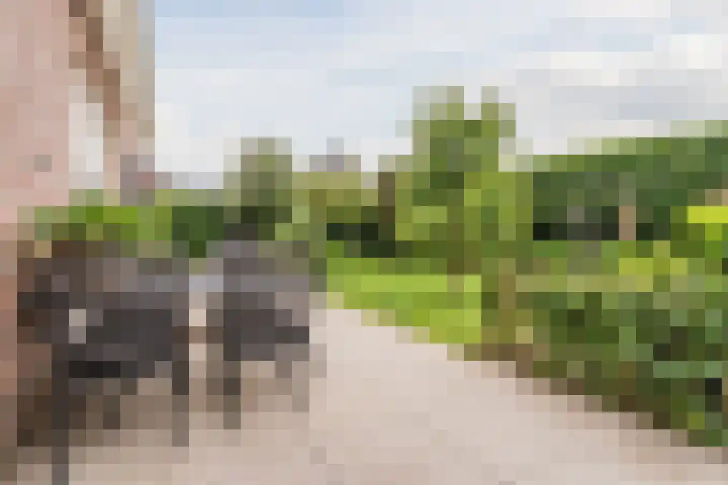 Patrijshof 8 Schoonhoven thumbnail 38