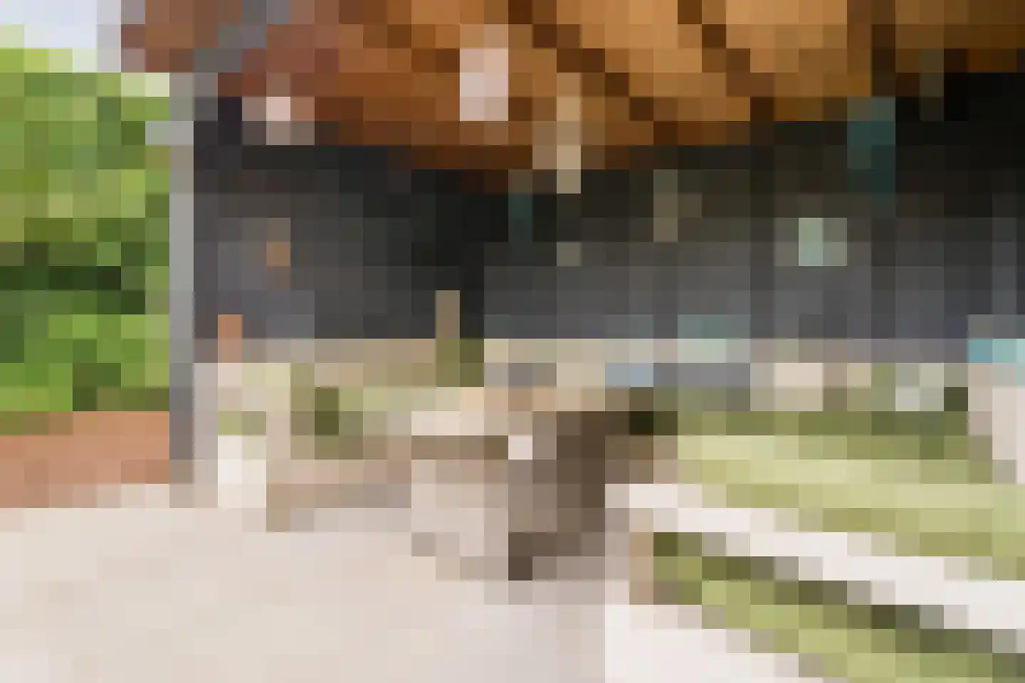 Patrijshof 8 Schoonhoven thumbnail 4
