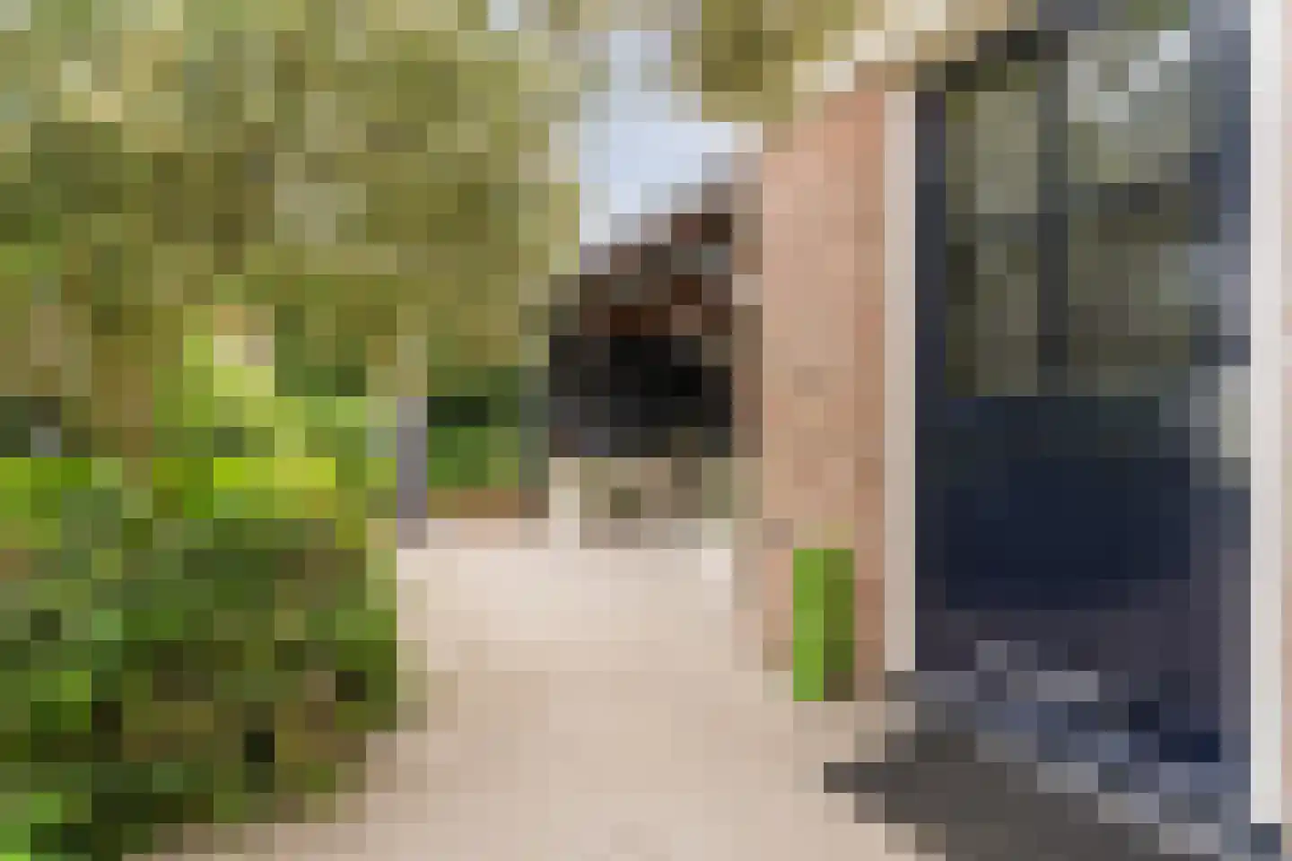 Patrijshof 8 Schoonhoven thumbnail 40