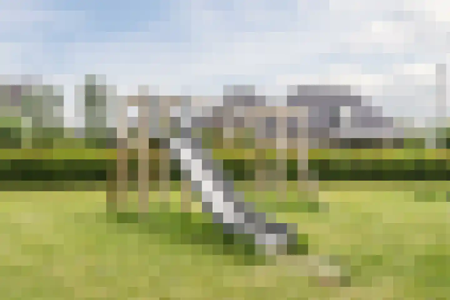Patrijshof 8 Schoonhoven thumbnail 50