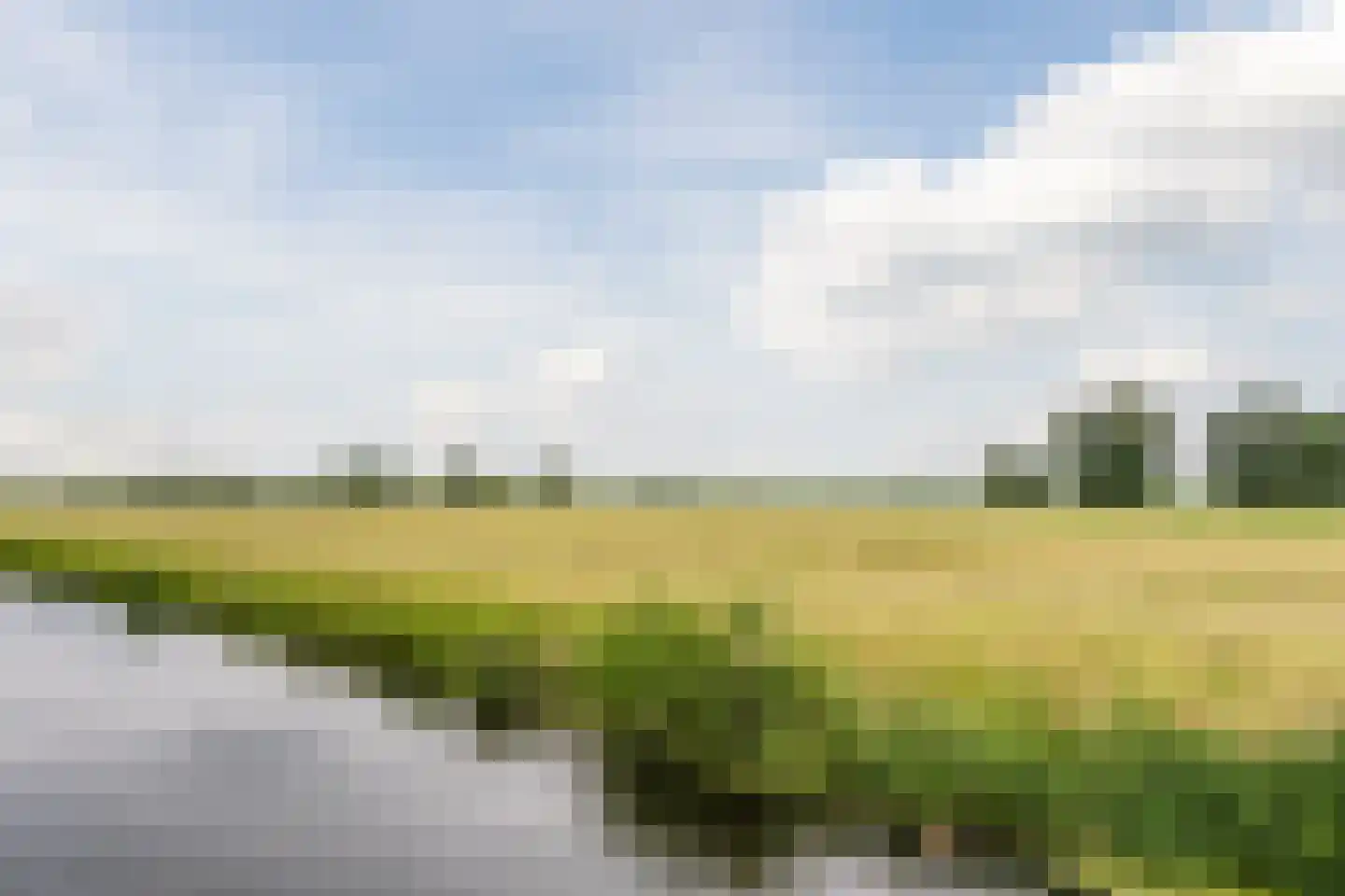 Patrijshof 8 Schoonhoven thumbnail 51