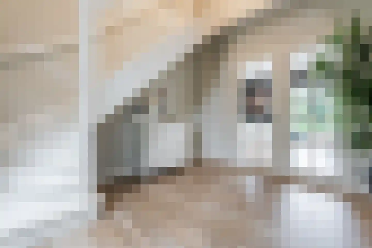 Patrijshof 8 Schoonhoven thumbnail 9