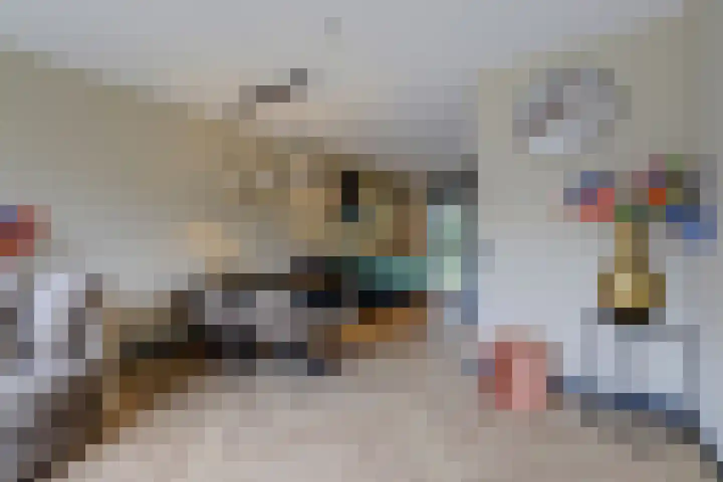 Patrijshof 9 Strijen thumbnail 16