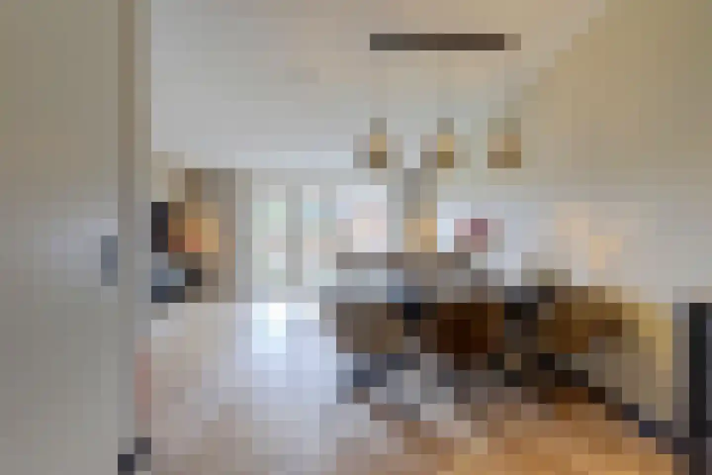 Patrijshof 9 Strijen thumbnail 17