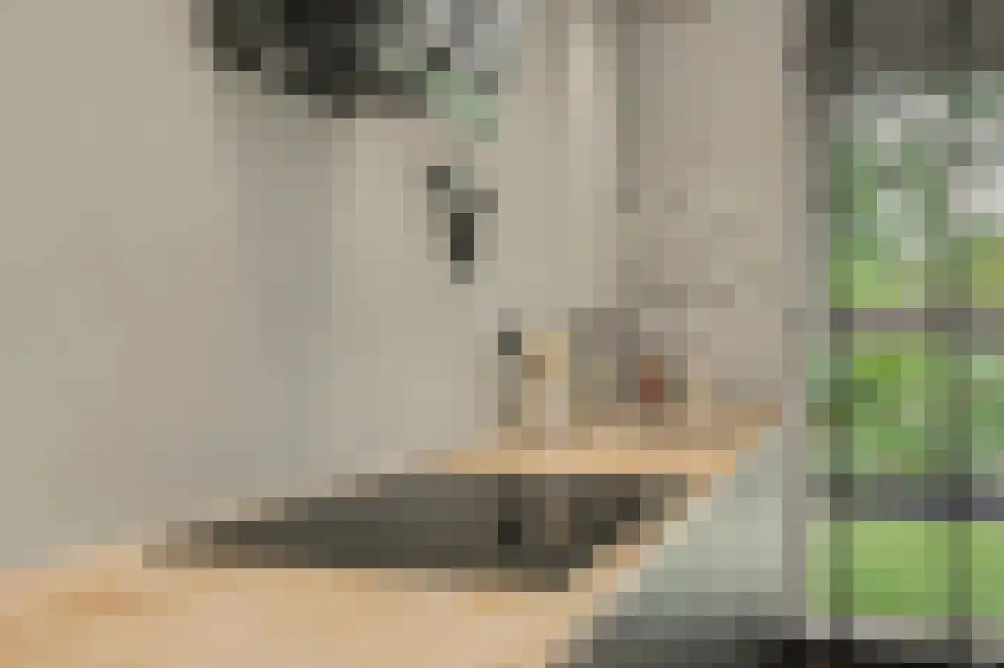 Patrijshof 9 Strijen thumbnail 18