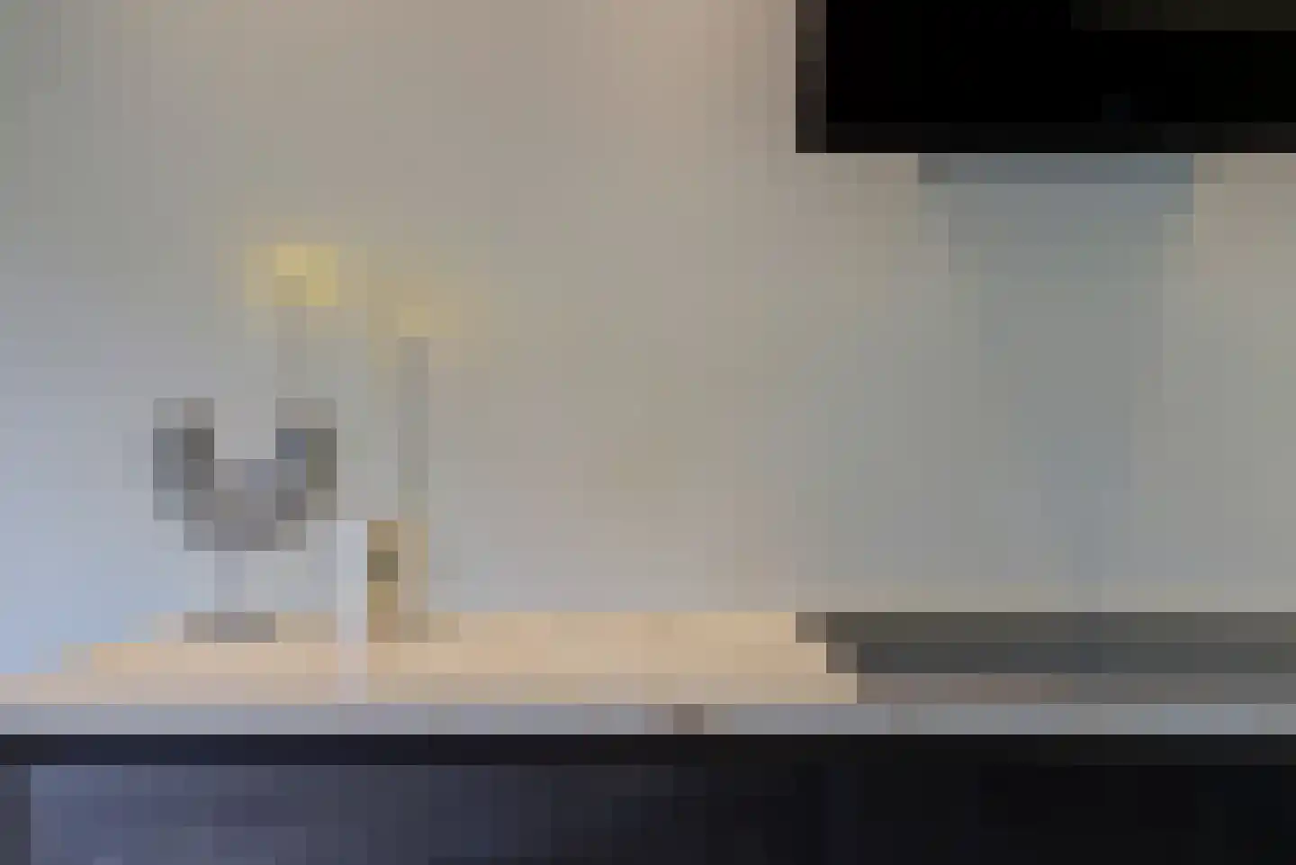 Patrijshof 9 Strijen thumbnail 21
