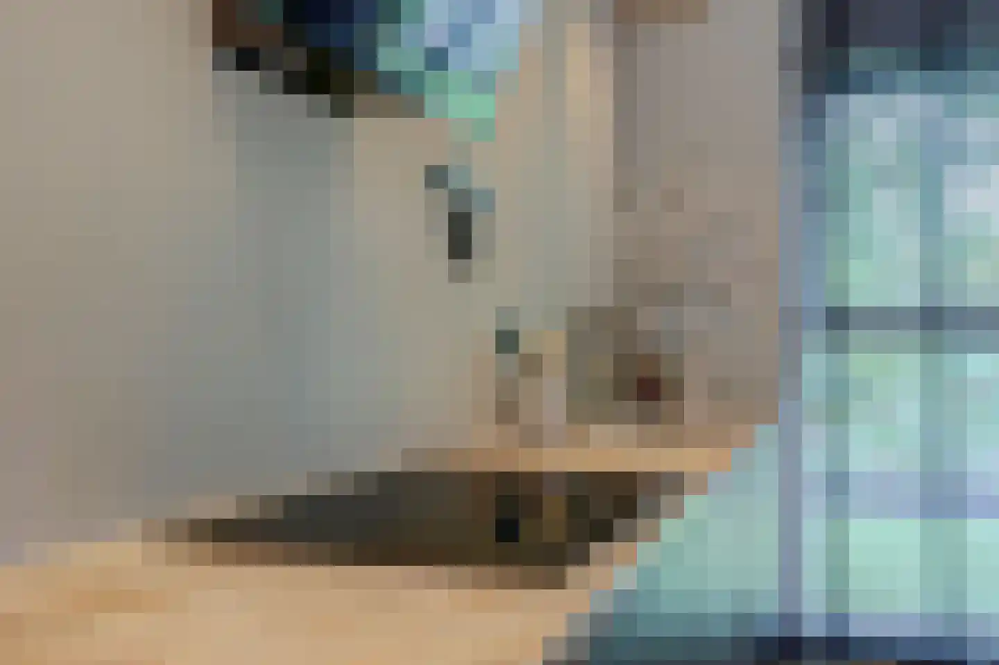 Patrijshof 9 Strijen thumbnail 22
