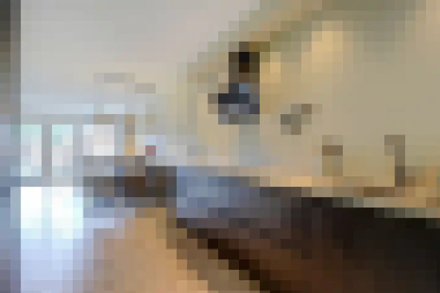 Patrijshof 9 Strijen thumbnail 23