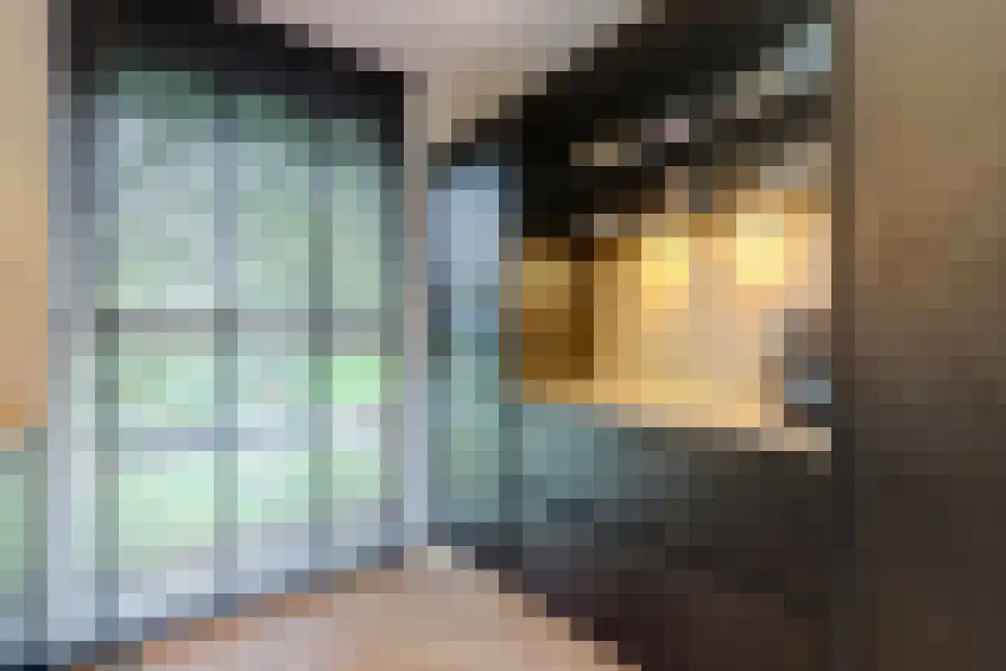 Patrijshof 9 Strijen thumbnail 24