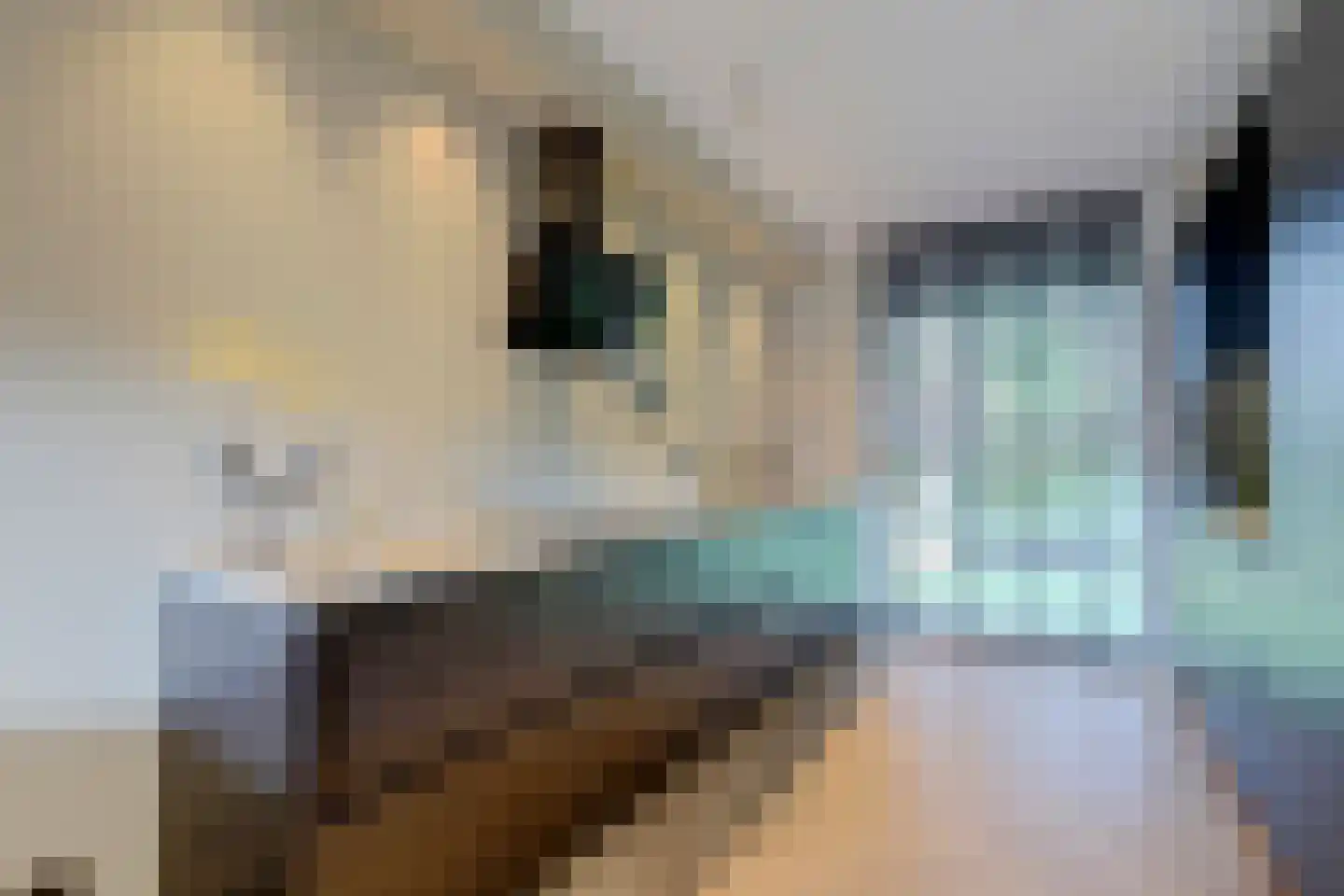 Patrijshof 9 Strijen thumbnail 25