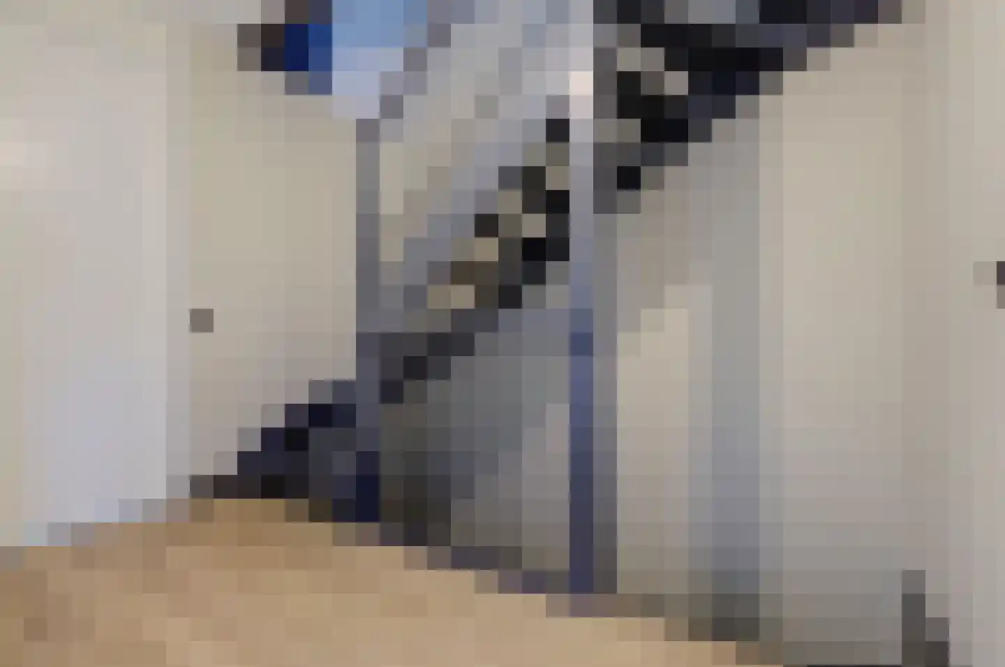 Patrijshof 9 Strijen thumbnail 27