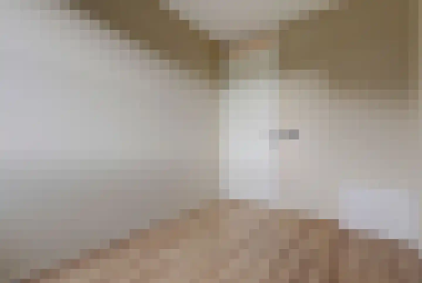 Patrijshof 9 Strijen thumbnail 30